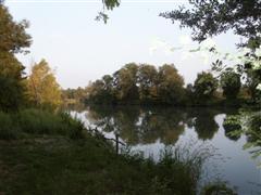 Wasserspiegelung auf der Charente